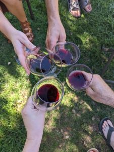 Image of four people clinking their wine glasses together. 