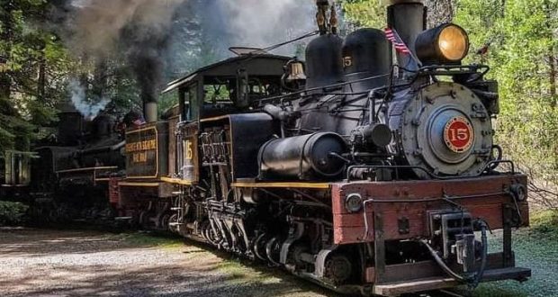 Image of the Yosemite Mountain sugar Pine Railroad