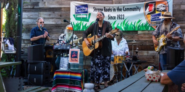 Image of the good medicine band playing music