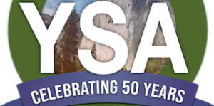 Logo of YSA