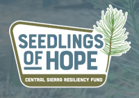 Image of the Seedlings of Hope logo. 