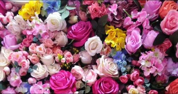 Image of a large assortment of various roses.