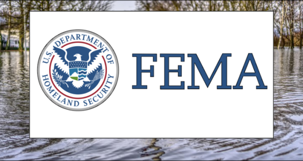 Image of the FEMA logo.