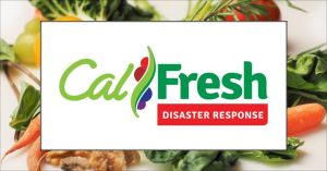 Image of the CalFresh logo.