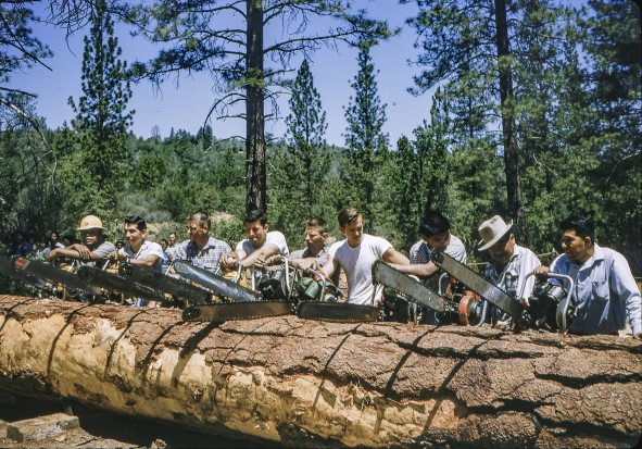 Image of a group of men in a chainsaw contest. 
