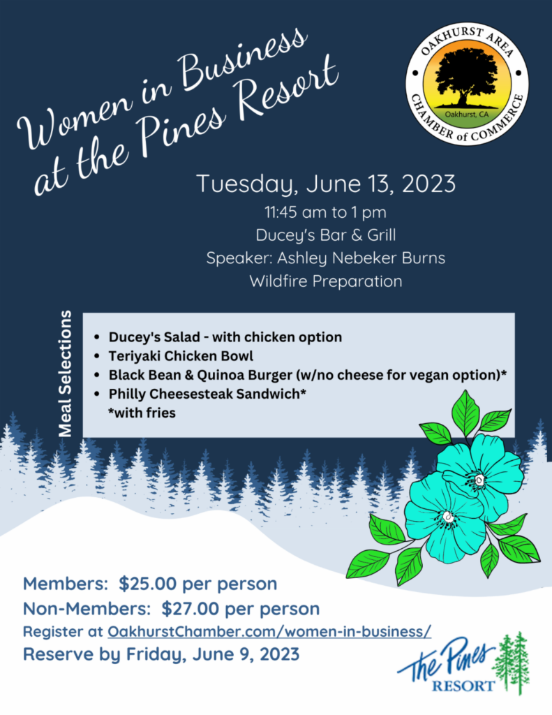 Flyer for women in business lunch meeting