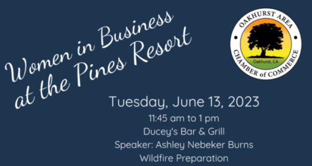 Image of the banner ad for the Women in Business luncheon.