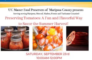 Image of a flyer of preserving tomatoes
