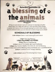 image of a flyer for the blessing of the animals at the Oakhurst Lutheran