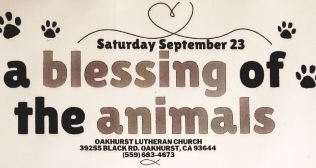 image of a header for the blessing of the animals at the Oakhurst Lutheran