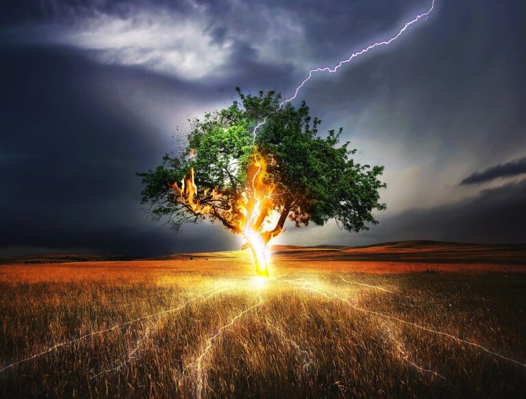Alert: Lightning Fires and Smoke Checks