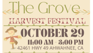 image of a header for the grove harvest festival