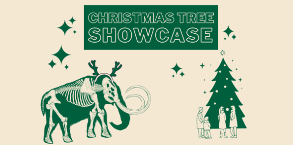 image of a flyer for the mammoth christmas tree showcase