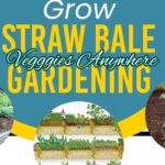UC Master Gardeners presents Straw Bale Gardening