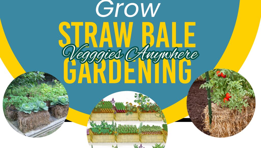 image of a header for grow straw bale veggies anywhere