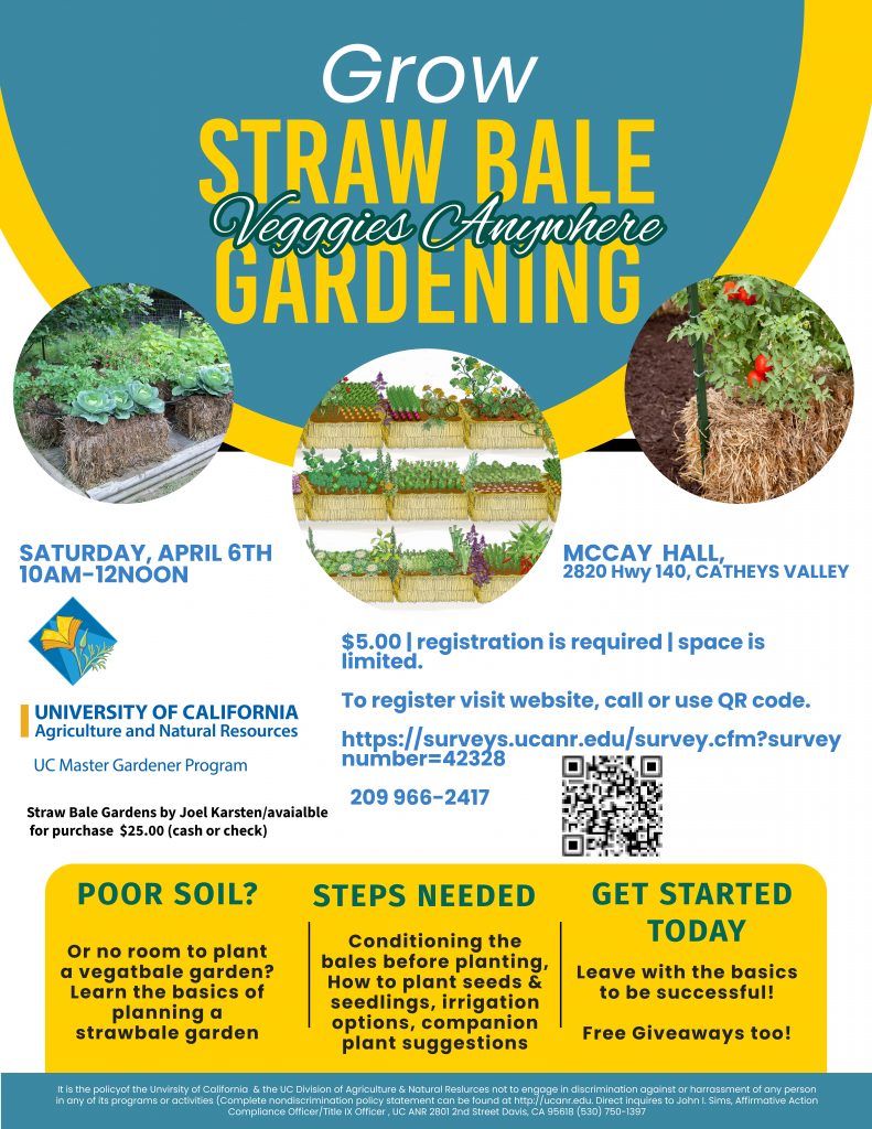 strawbale gardening flyer