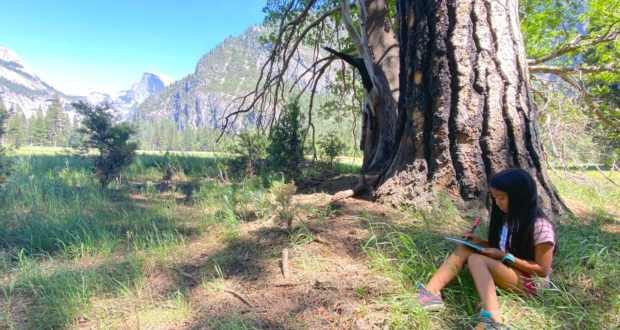A girl relaxing in the grass by a tree, surrounded by the beauty of the outdoors in Yosemite National Park.