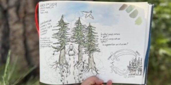 Image of a journal of trees