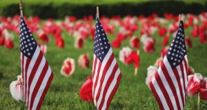 Many American flags placed in a field.