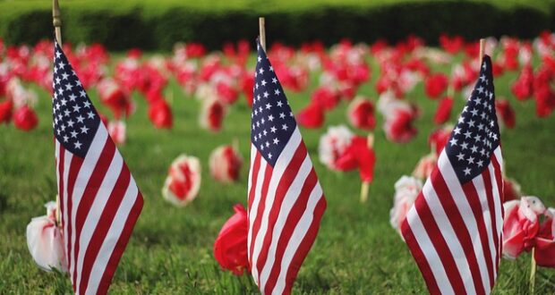 Many American flags placed in a field.