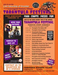 Guide of the hour-to-hour events for the tarantula festival. 