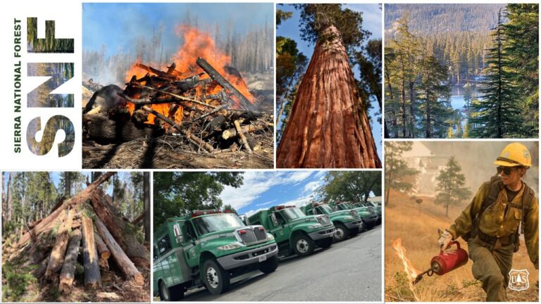 Prescribed Fire Update from the Sierra National Forest