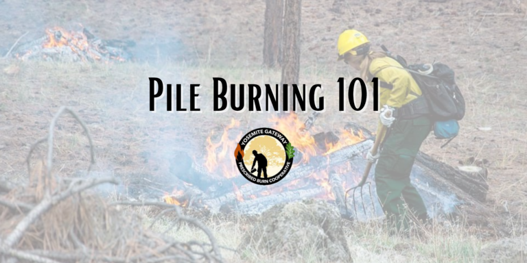 Image of someone burning a pile in a prescribed burn.