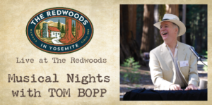 Image of a flyer for Musical Nights with Tom Bopp