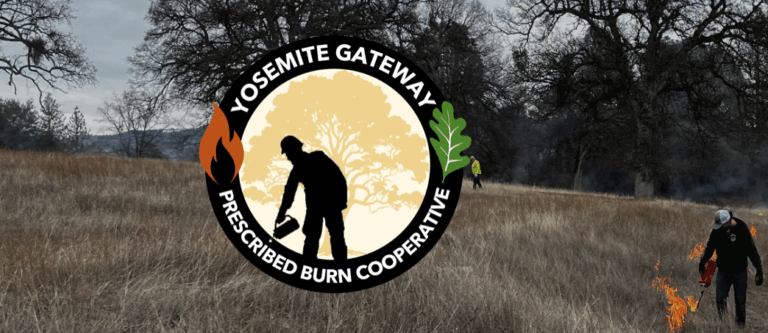 Women's Intro to Chainsaws Workshop by Yosemite Gateway Prescribed Burn Cooperative