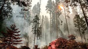 Garnet Fire in Fresno County