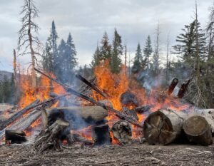 SNF Prescribed Burning Program to Reduce Wildfire Risks