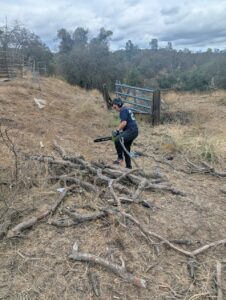 A Coarsegold elementary student hard at work cutting firewood for the PTO fundraiser
