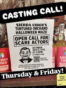 Sierra Ciders Casting Call Flyer for Tortured Orchard of the Dolls