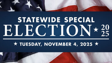 Statewide special election November 4, 2025