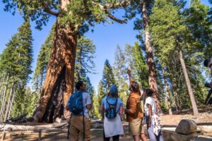 Yosemite National Park to remain open during federal government shutdown.
