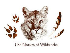 The Nature of Wildworks