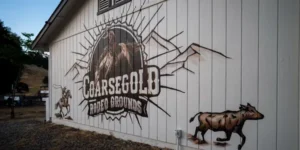 Get Ready for the First-Ever Coarsegold Harvest Rodeo!