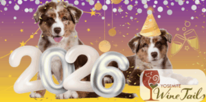 Image of flyer for Yosemite wine tails new years eve party