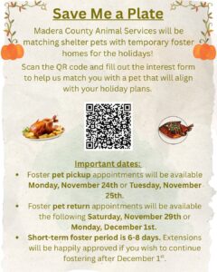 Short-Term Holiday Foster Program In Madera County