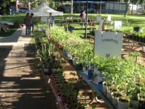 Community Addressing Food Insecurity in Mariposa County