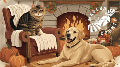 Short-Term Holiday Foster Program In Madera County