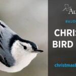 Oakhurst Area 2025 Audubon Christmas Bird Count