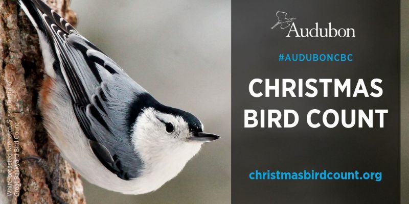Oakhurst Area 2025 Audubon Christmas Bird Count