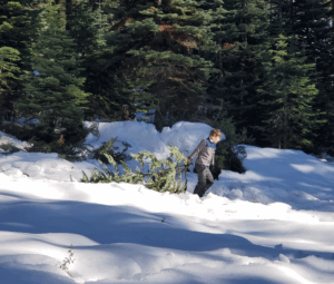 Boy Scout hard at work