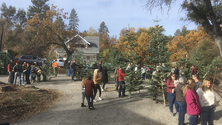 North Fork Scout Troop 357 Christmas Tree Sale This Saturday