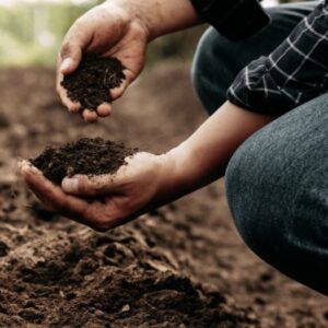 farmer with healthy soil in his hands