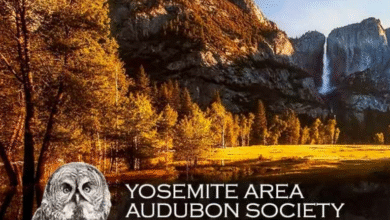 Yosemite Area Audubon Society
