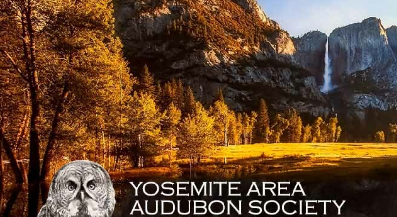 Yosemite Area Audubon Society Hosts Dustin Garrison from Yosemite National Park