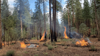 Yosemite Conservancy