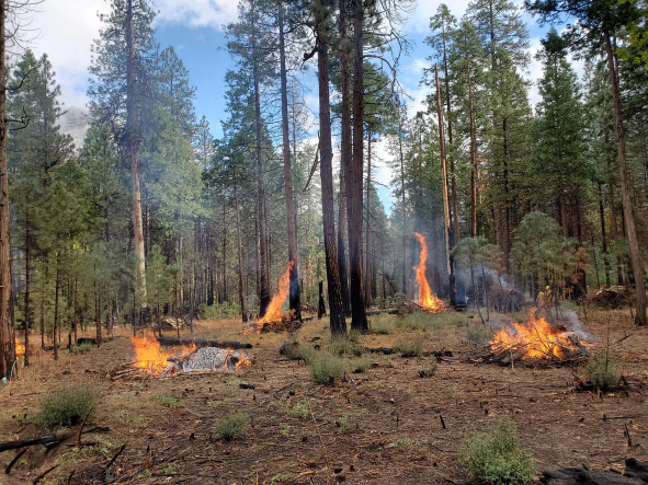 Little Fires, Big Purpose: Reconnecting Culture, Land, & Connection in Yosemite